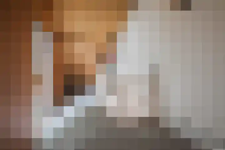 Poeierhei 10 Veldhoven thumbnail 26