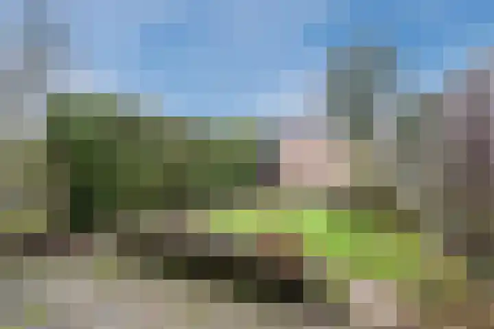 Poeierhei 10 Veldhoven thumbnail 30