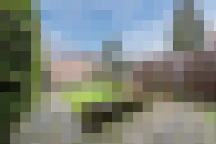 Poeierhei 10 Veldhoven thumbnail 31
