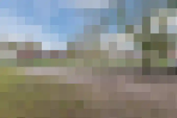 Poeierhei 10 Veldhoven thumbnail 35