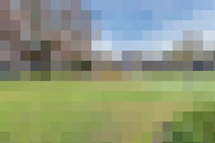 Poeierhei 10 Veldhoven thumbnail 36