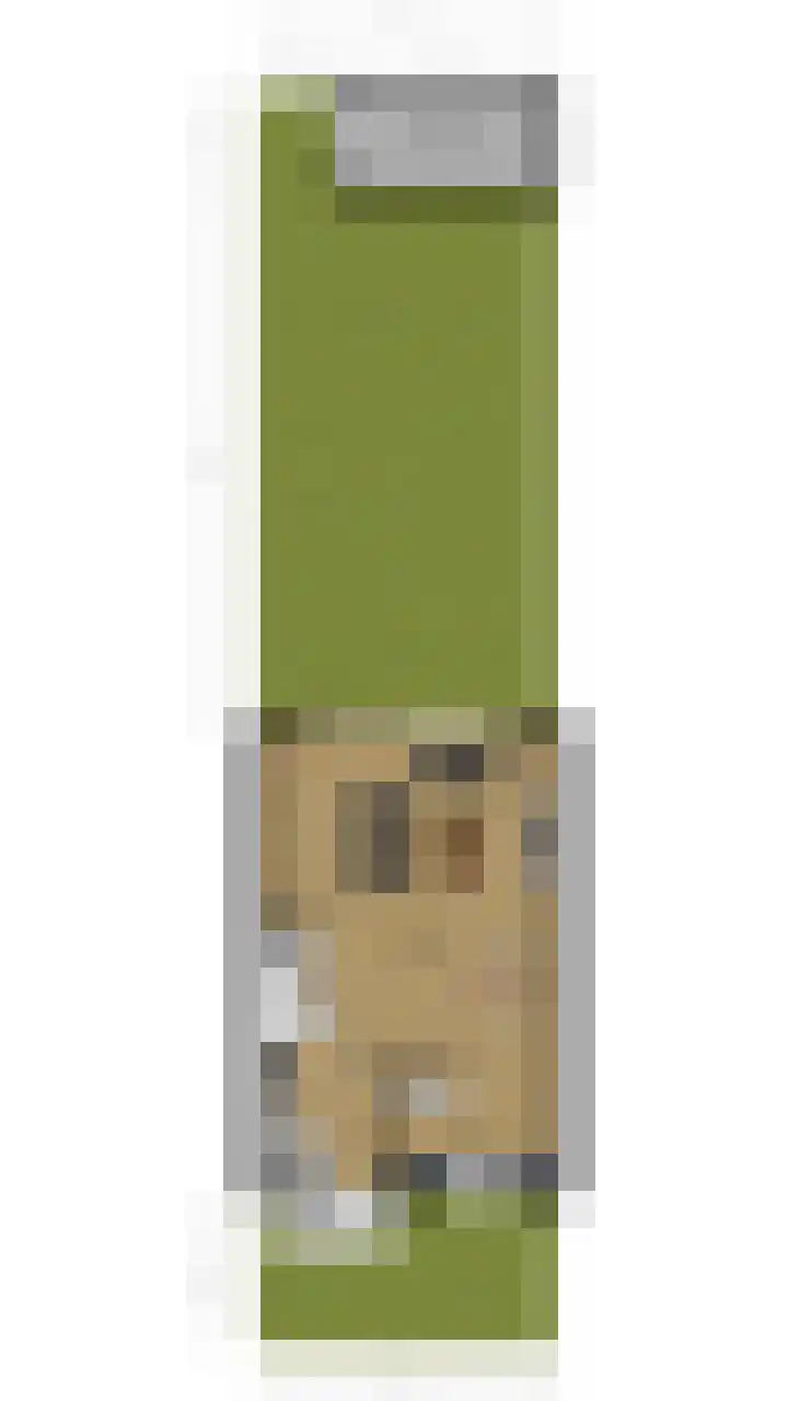 Poeierhei 10 Veldhoven thumbnail 39
