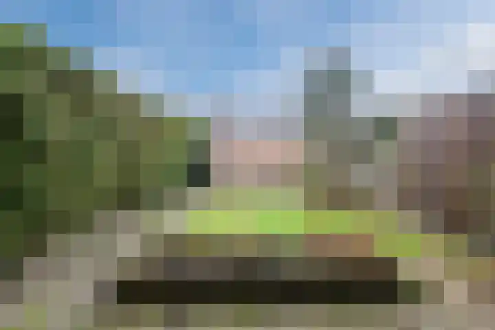 Poeierhei 10 Veldhoven thumbnail 4