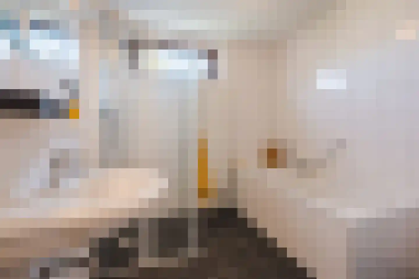 Poeierhei 6 Veldhoven thumbnail 30