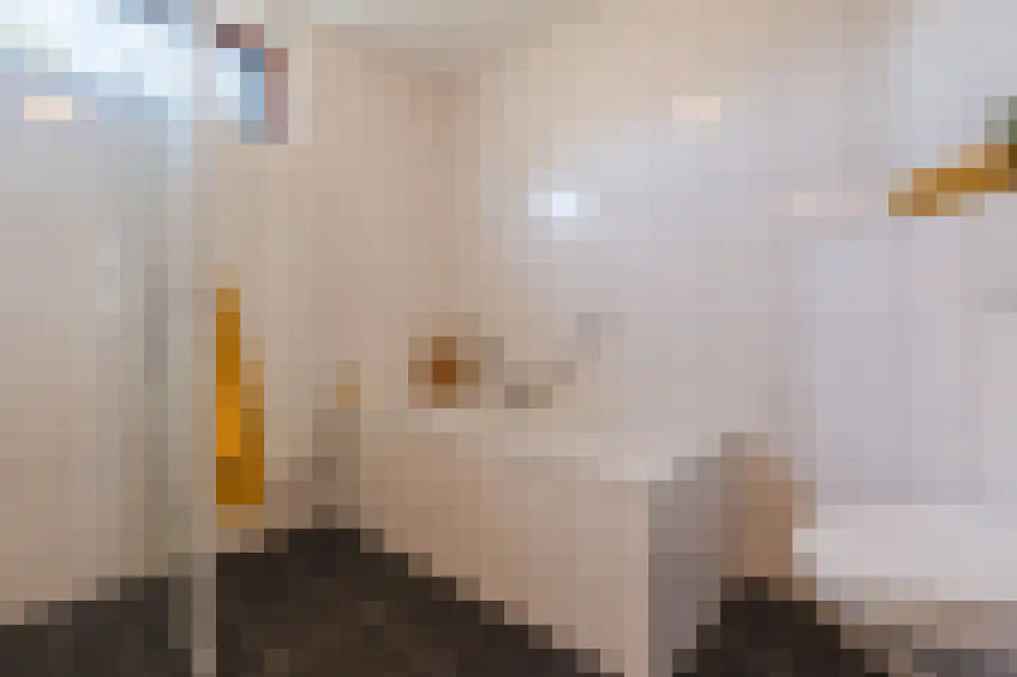 Poeierhei 6 Veldhoven thumbnail 31