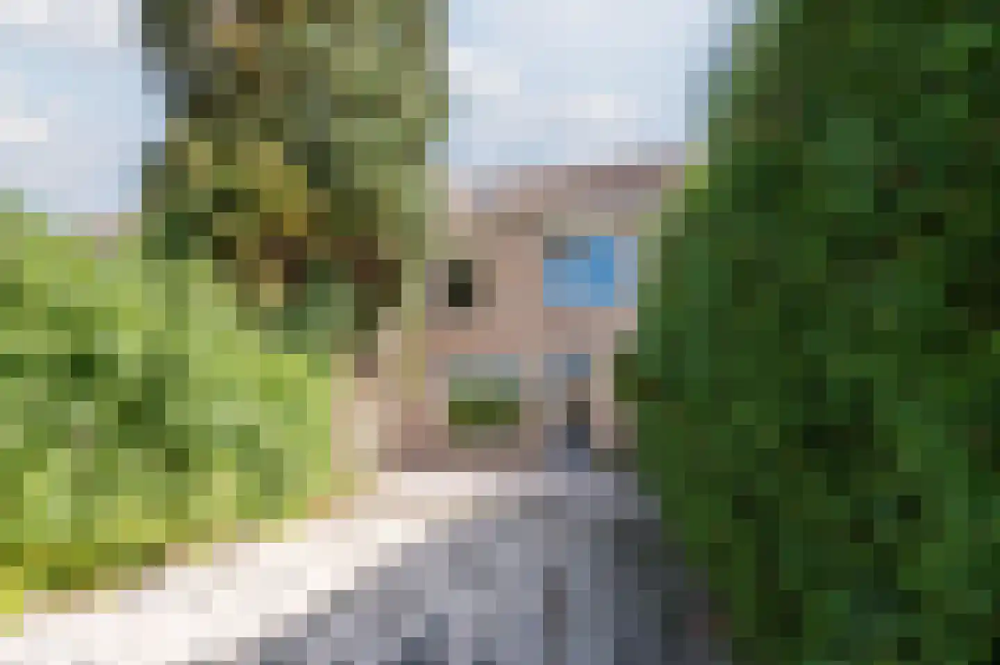Poeierhei 6 Veldhoven thumbnail 43