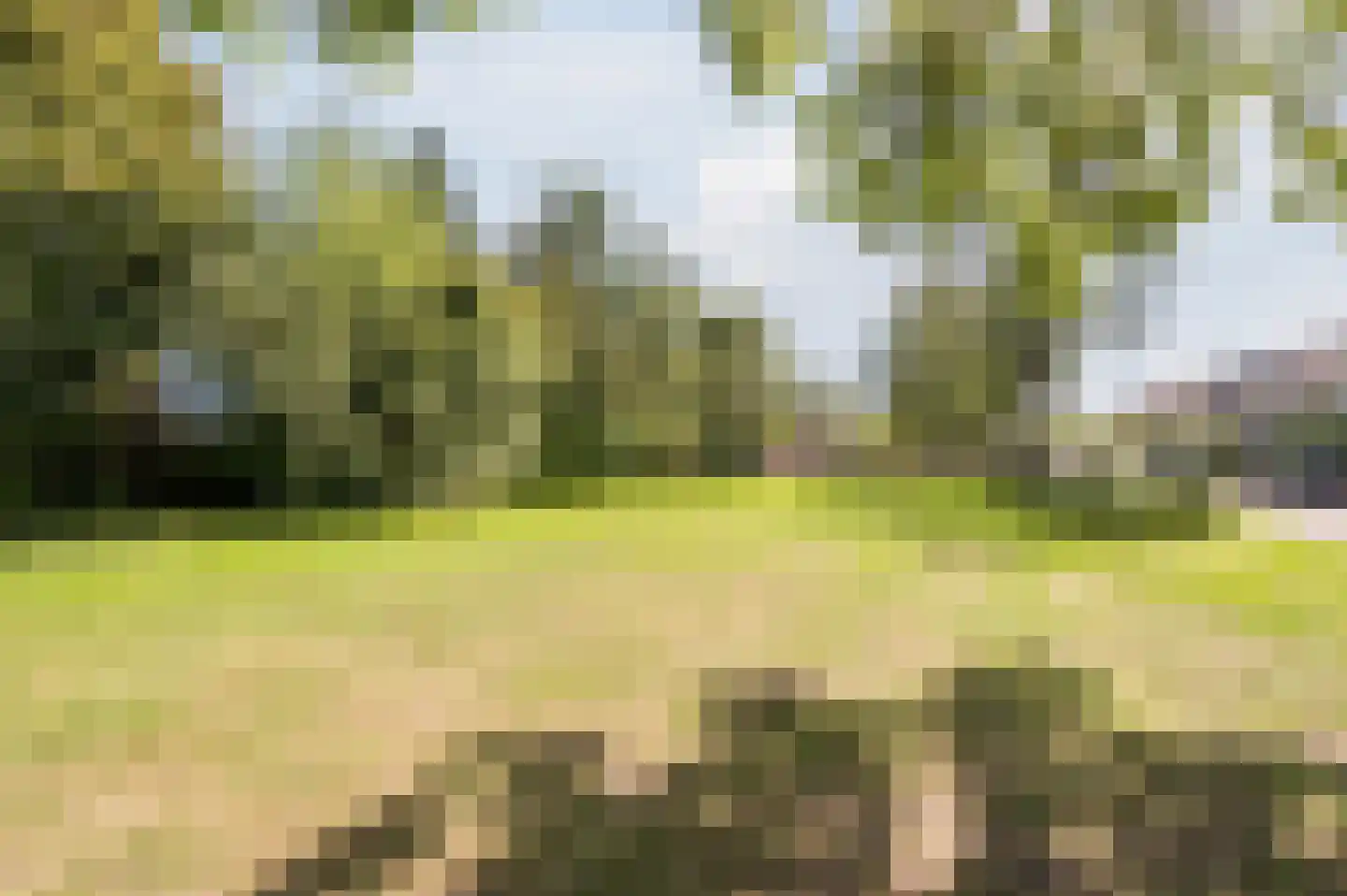 Poeierhei 6 Veldhoven thumbnail 46