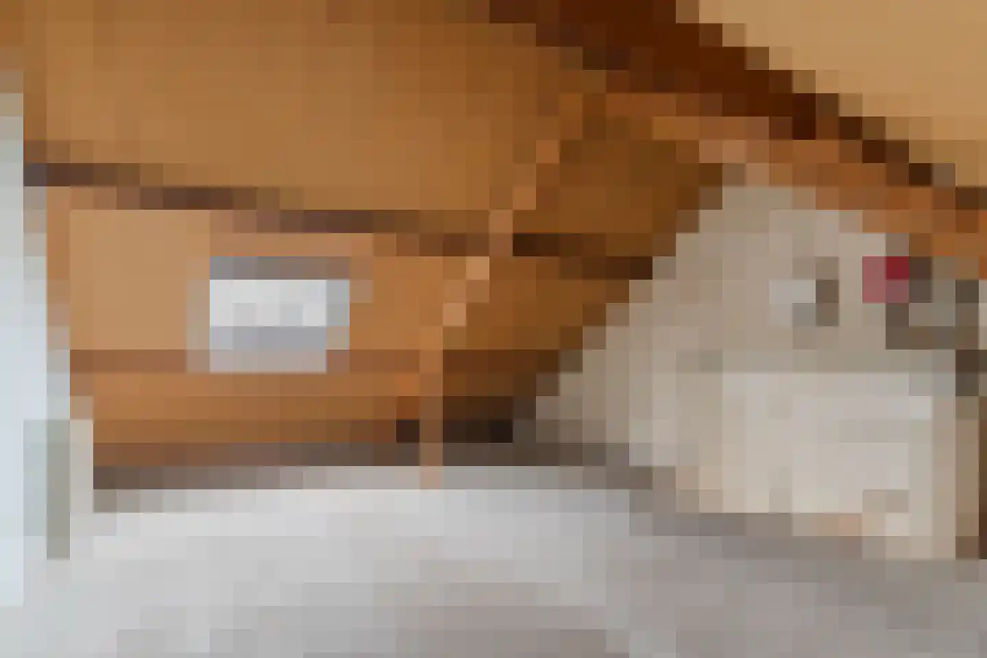 Poeierhei 7 Veldhoven thumbnail 35