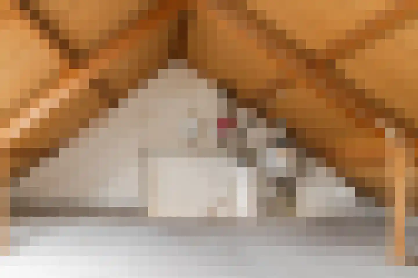 Poeierhei 7 Veldhoven thumbnail 36