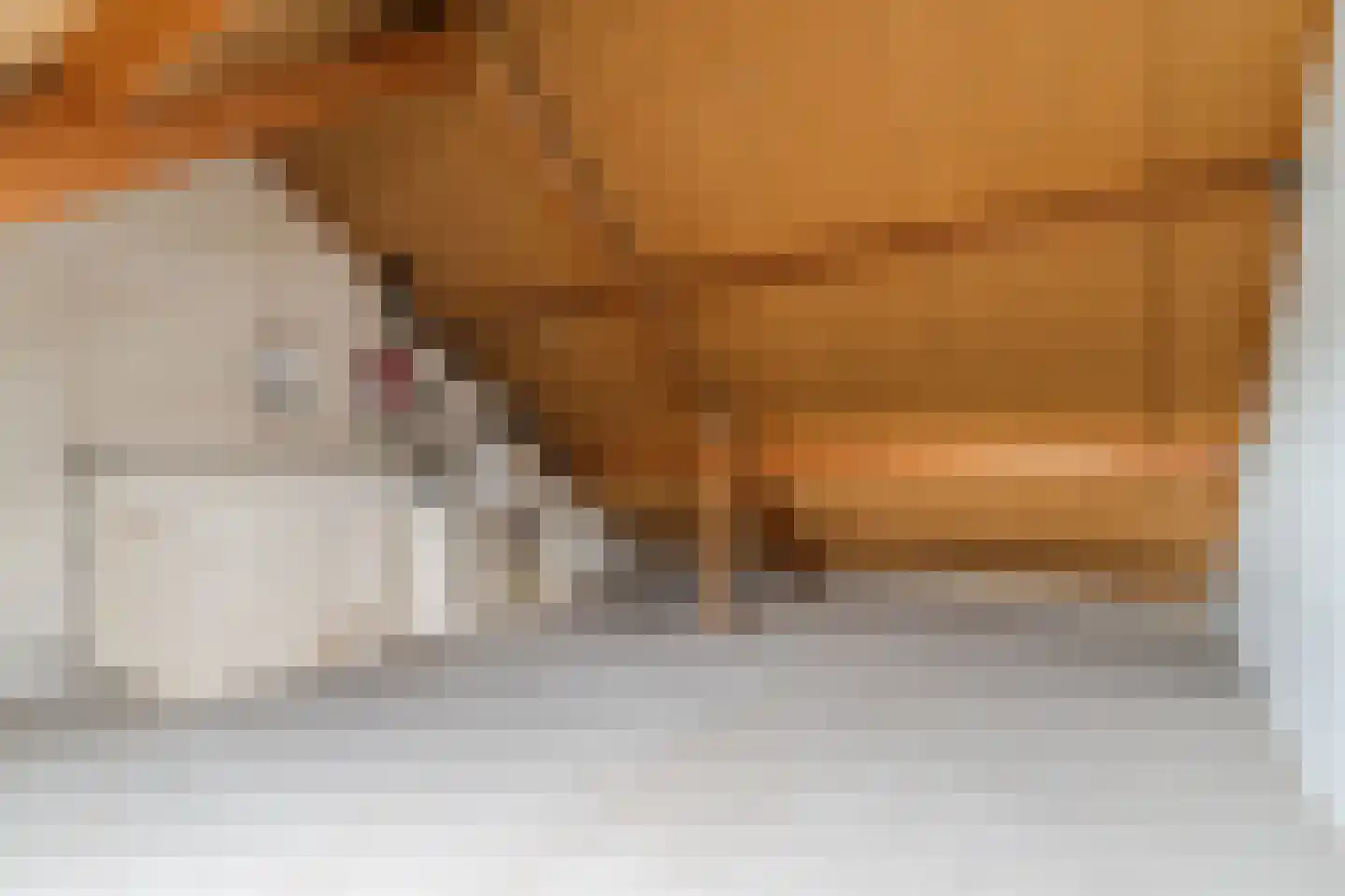 Poeierhei 7 Veldhoven thumbnail 37