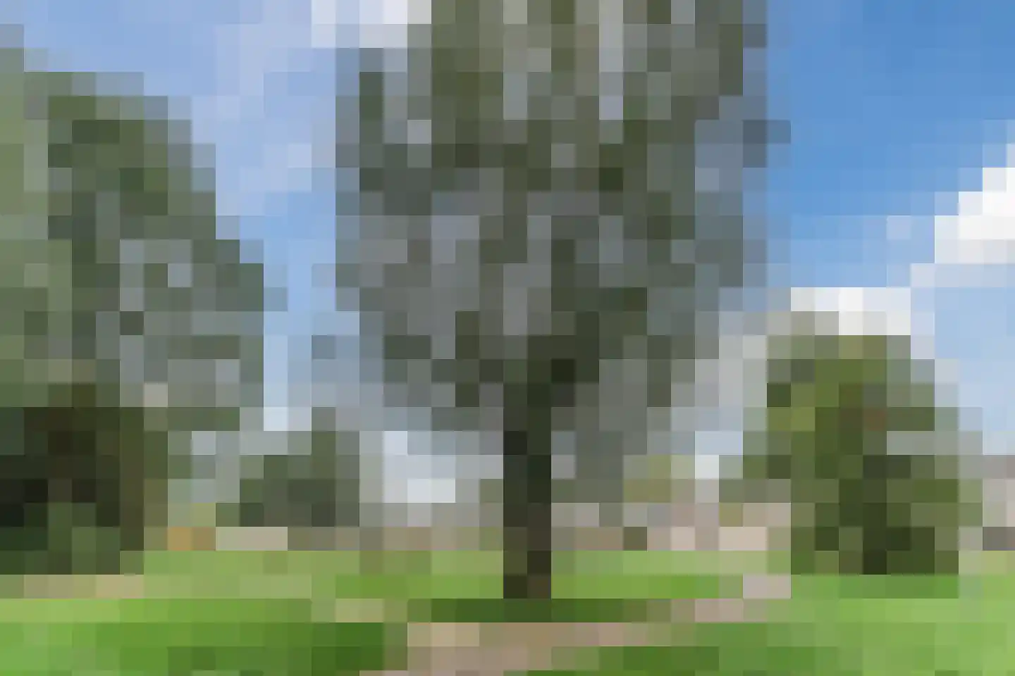 Poeierhei 7 Veldhoven thumbnail 49