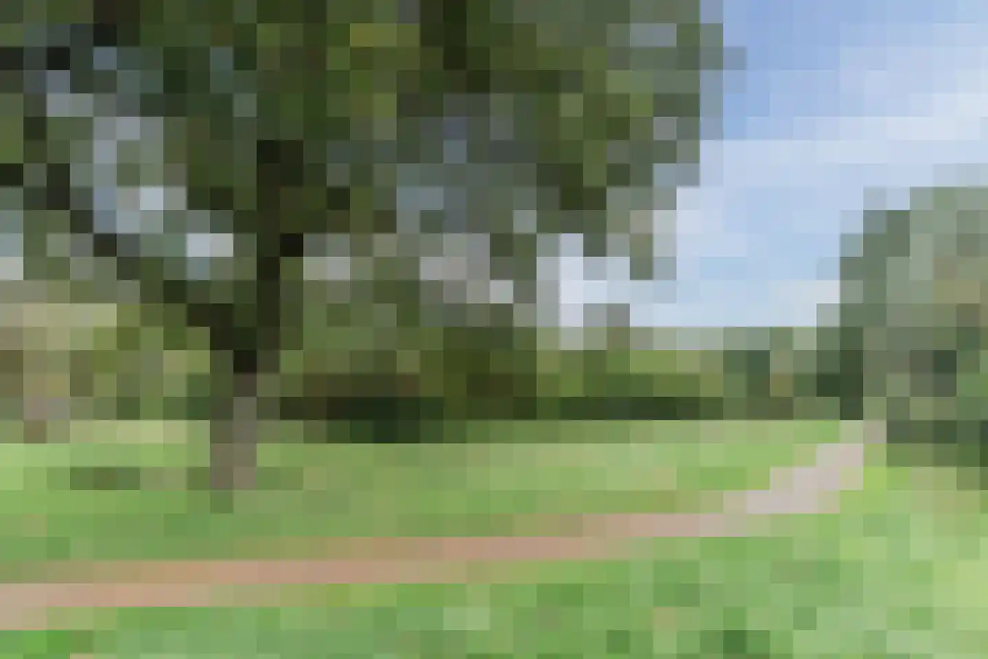 Poeierhei 7 Veldhoven thumbnail 50