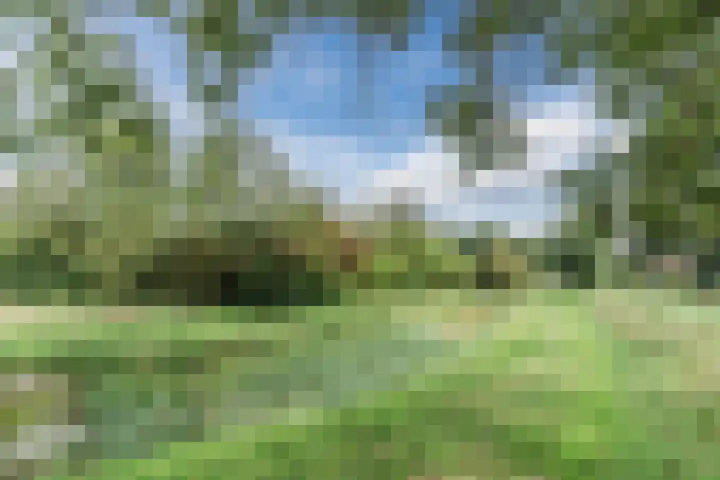Poeierhei 7 Veldhoven thumbnail 51