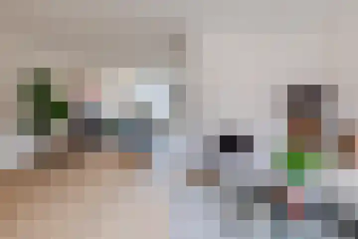 Poeierhei 9 Veldhoven thumbnail 10