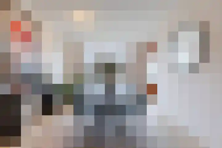 Poeierhei 9 Veldhoven thumbnail 11