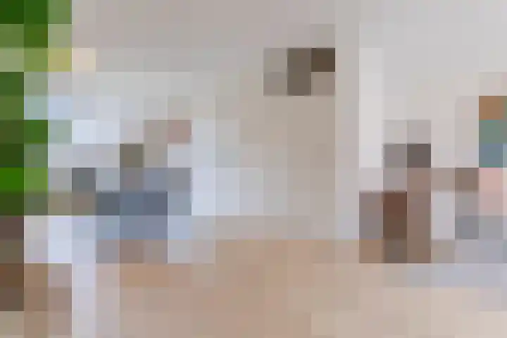 Poeierhei 9 Veldhoven thumbnail 12