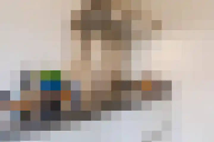 Poeierhei 9 Veldhoven thumbnail 20