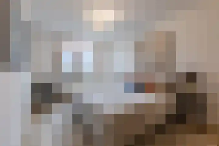 Poeierhei 9 Veldhoven thumbnail 23