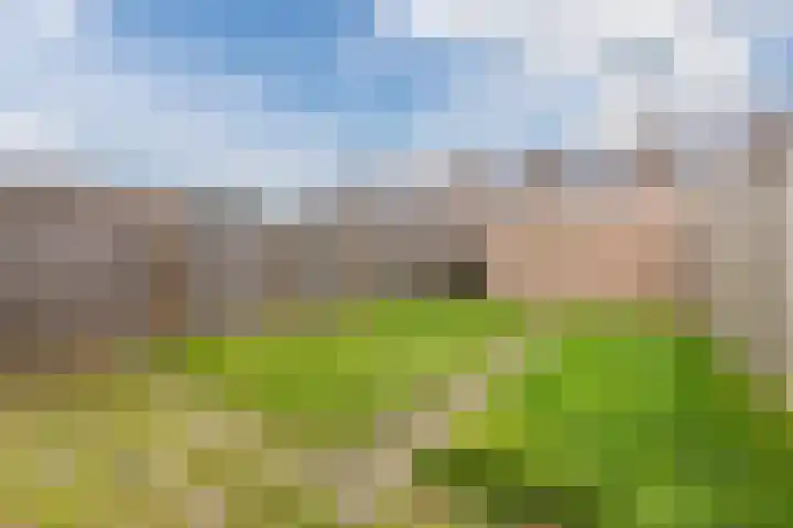 Poeierhei 9 Veldhoven thumbnail 39