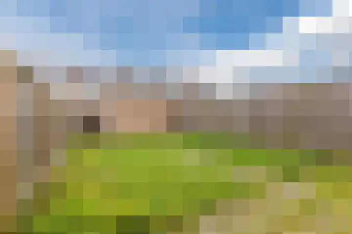 Poeierhei 9 Veldhoven thumbnail 41