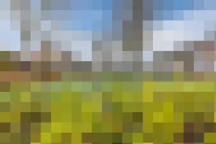 Poeierhei 9 Veldhoven thumbnail 46