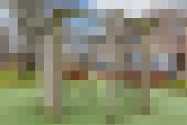 Poeierhei 9 Veldhoven thumbnail 47