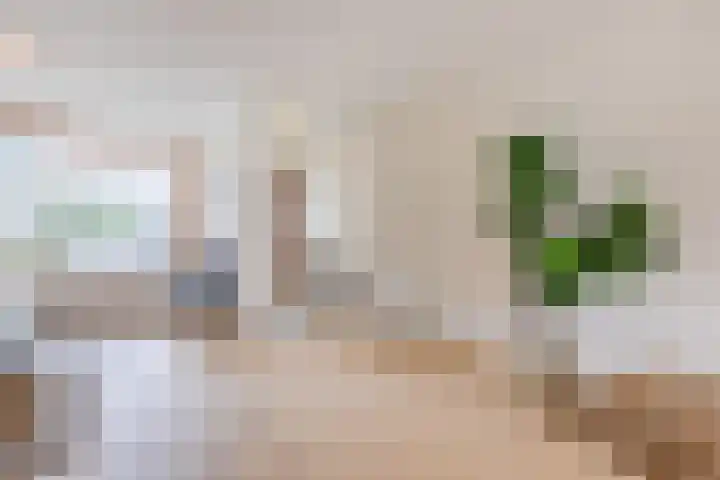 Poeierhei 9 Veldhoven thumbnail 6