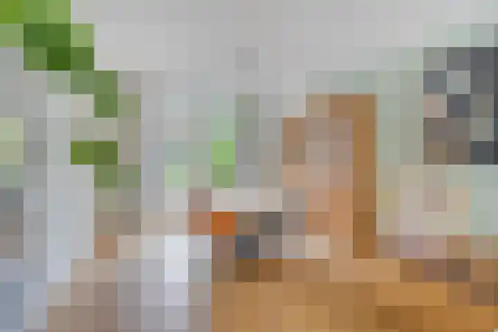 Poeijersstraat 42 Eindhoven thumbnail 10