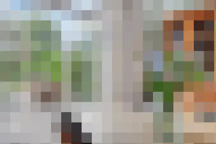 Poeijersstraat 42 Eindhoven thumbnail 12