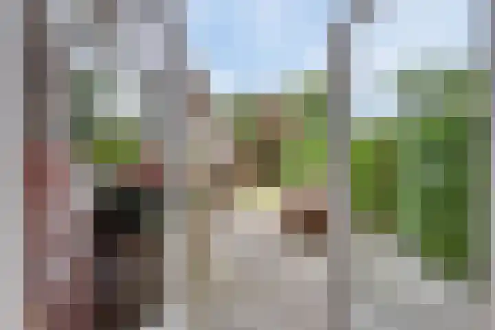 Poeijersstraat 42 Eindhoven thumbnail 13