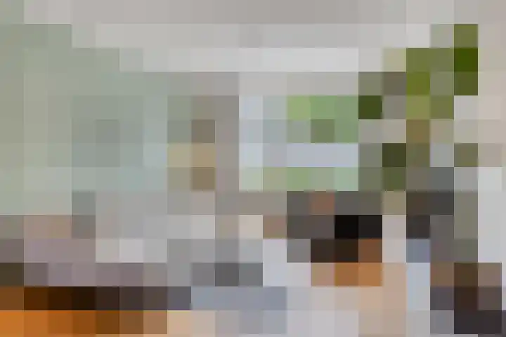 Poeijersstraat 42 Eindhoven thumbnail 7