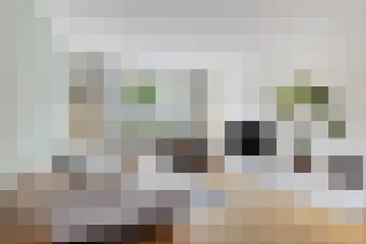 Poeijersstraat 42 Eindhoven thumbnail 8