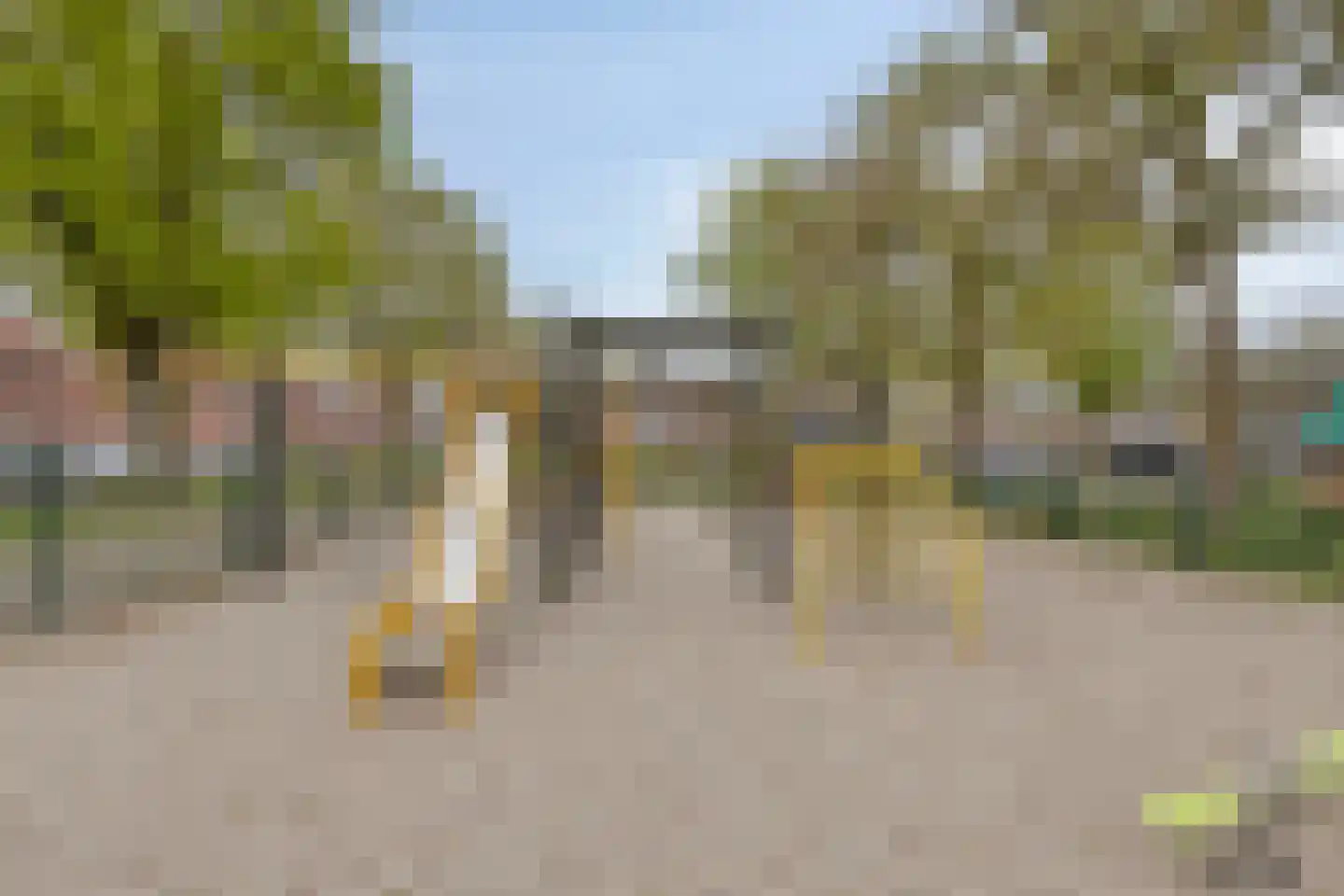 Poeijersstraat 74 Eindhoven thumbnail 34