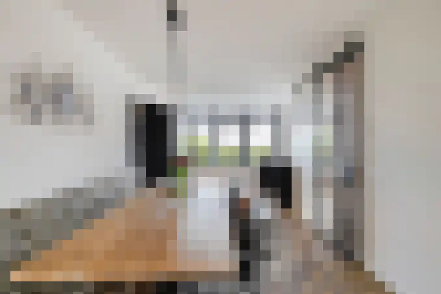Poel 8 Alkmaar thumbnail 19