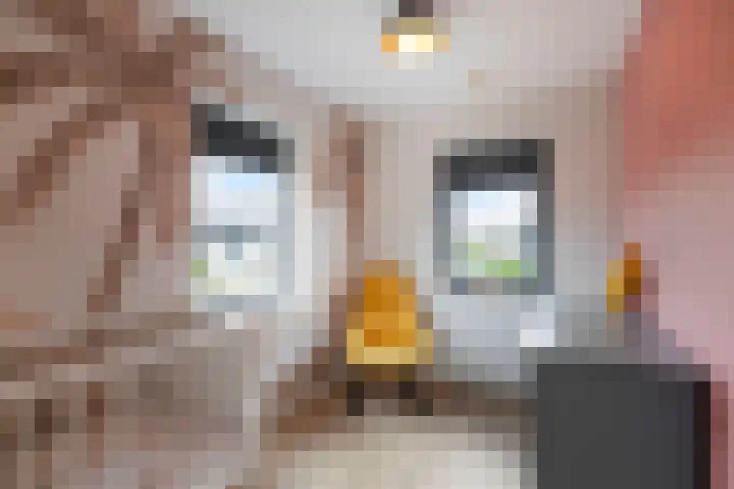 Poel 8 Alkmaar thumbnail 32