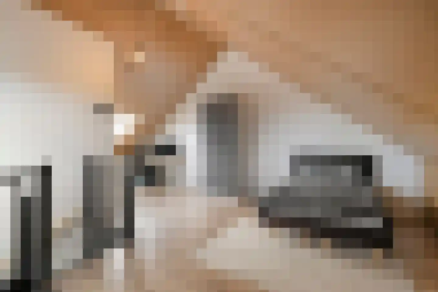 Poel 8 Alkmaar thumbnail 38
