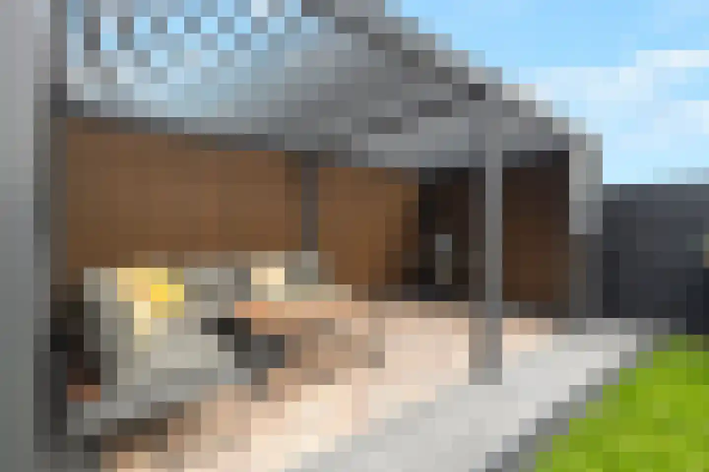 Poel 8 Alkmaar thumbnail 45