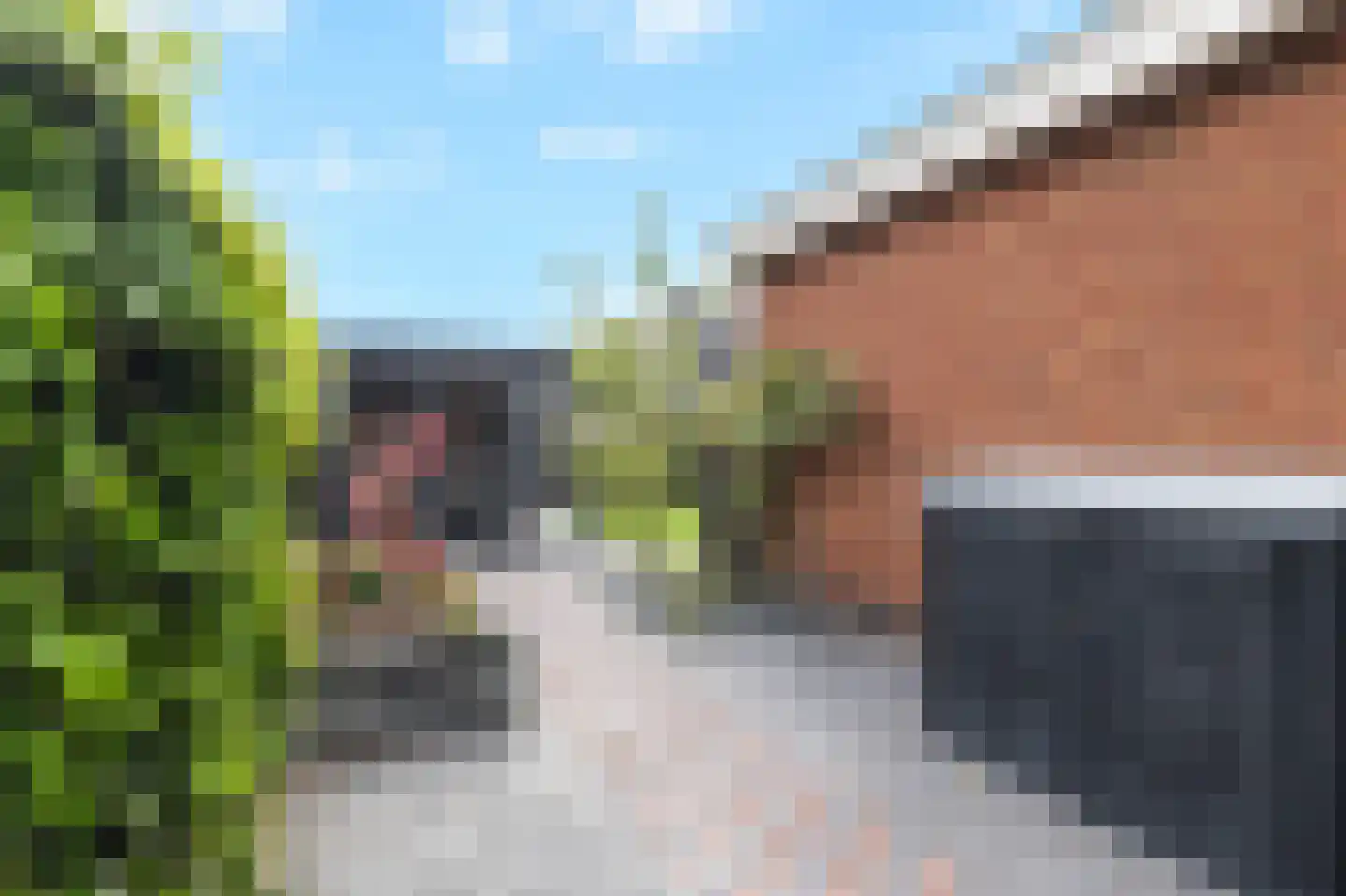 Poel 8 Alkmaar thumbnail 53