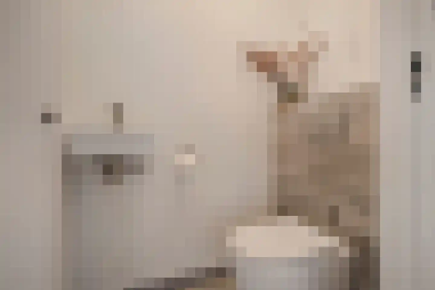 Poel 8 Alkmaar thumbnail 9