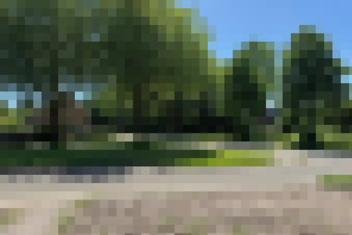 Poelakkers 1 Peize thumbnail 24