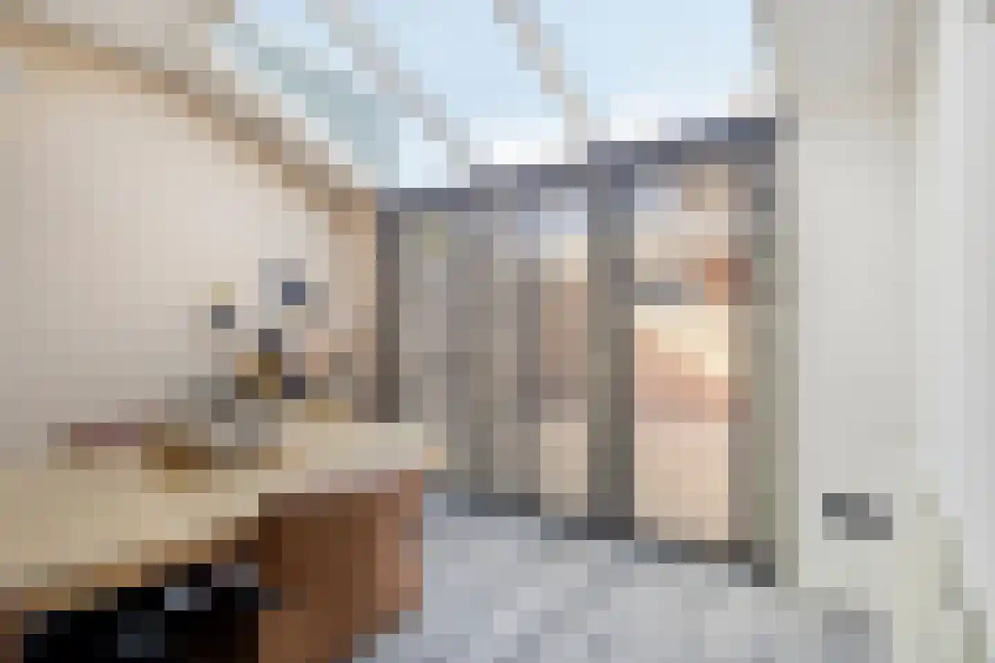 Poelakkers 11 Peize thumbnail 11