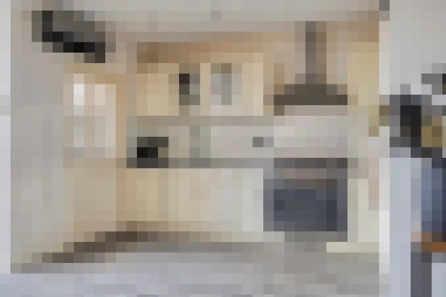 Poelakkers 11 Peize thumbnail 13