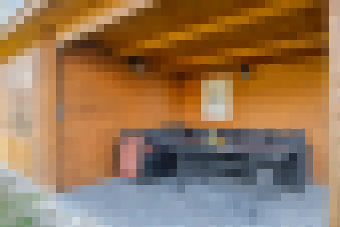 Poelakkers 11 Peize thumbnail 31