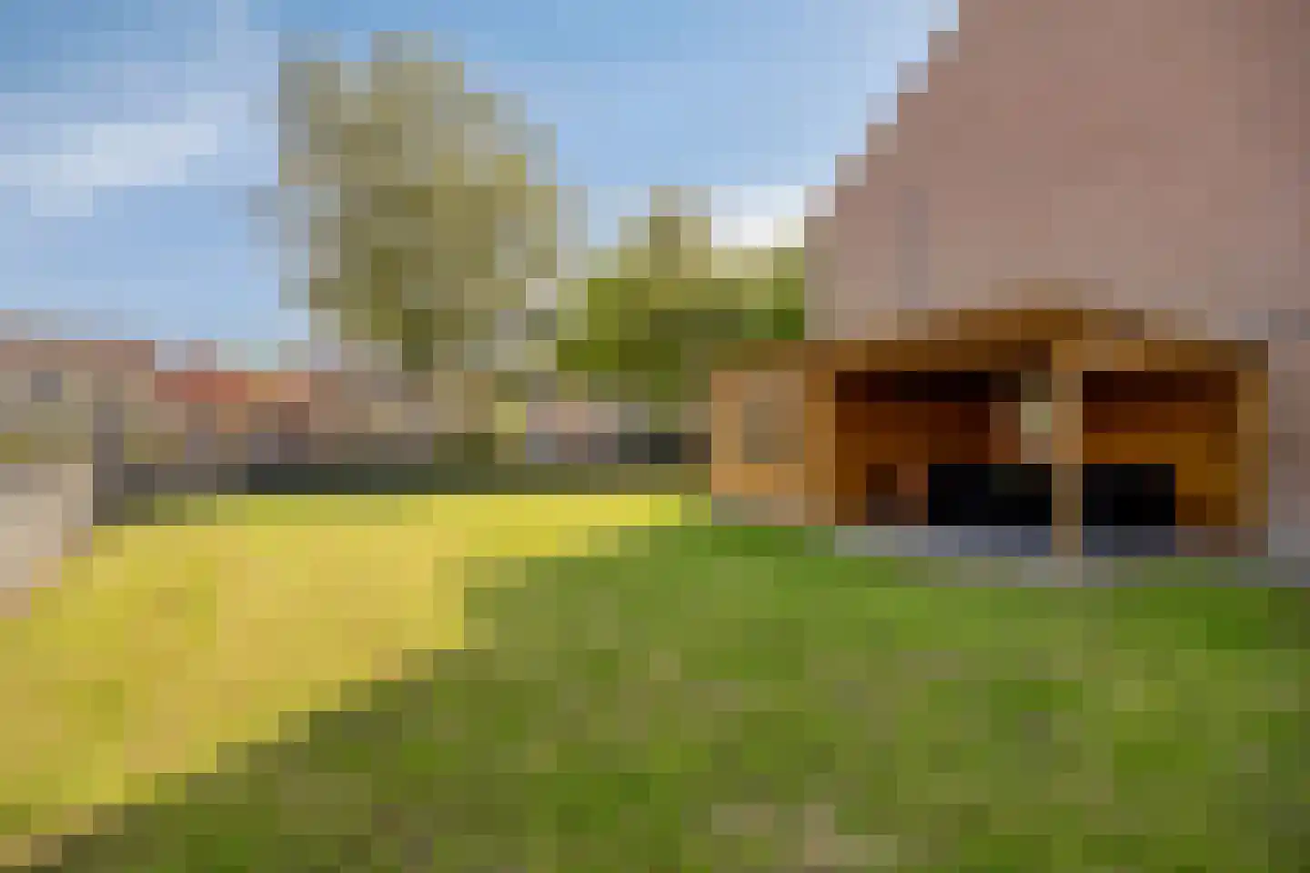 Poelakkers 11 Peize thumbnail 32