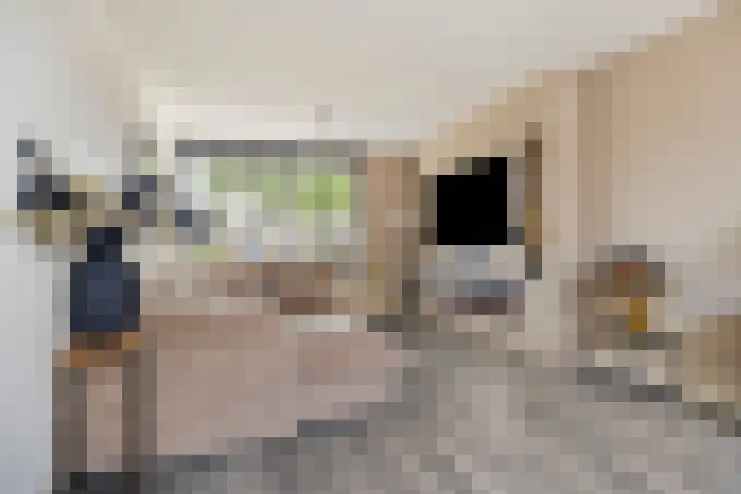 Poelakkers 11 Peize thumbnail 7