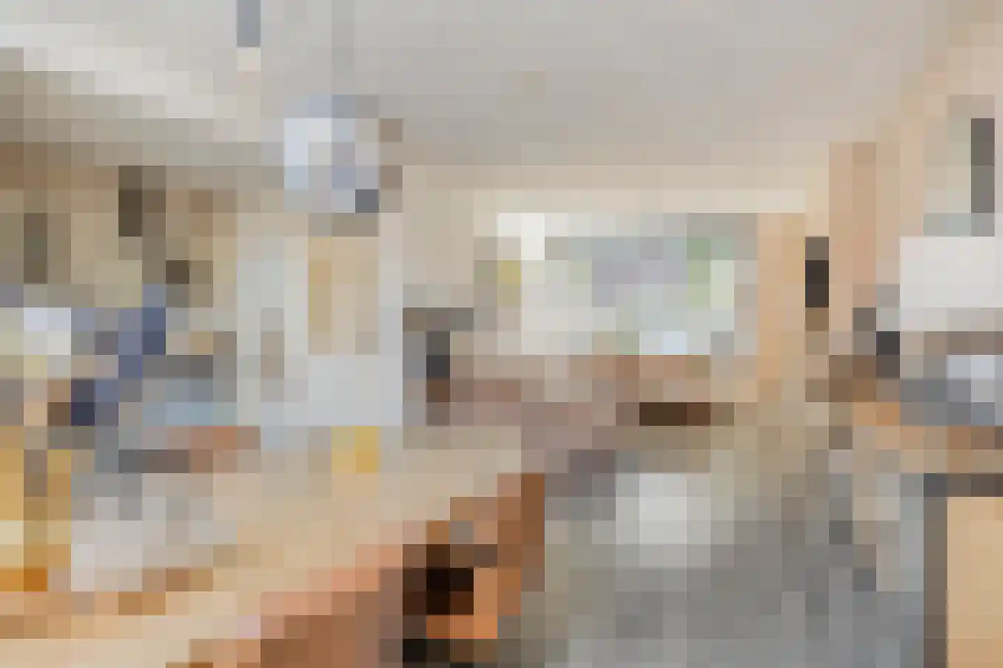 Poelakkers 11 Peize thumbnail 8
