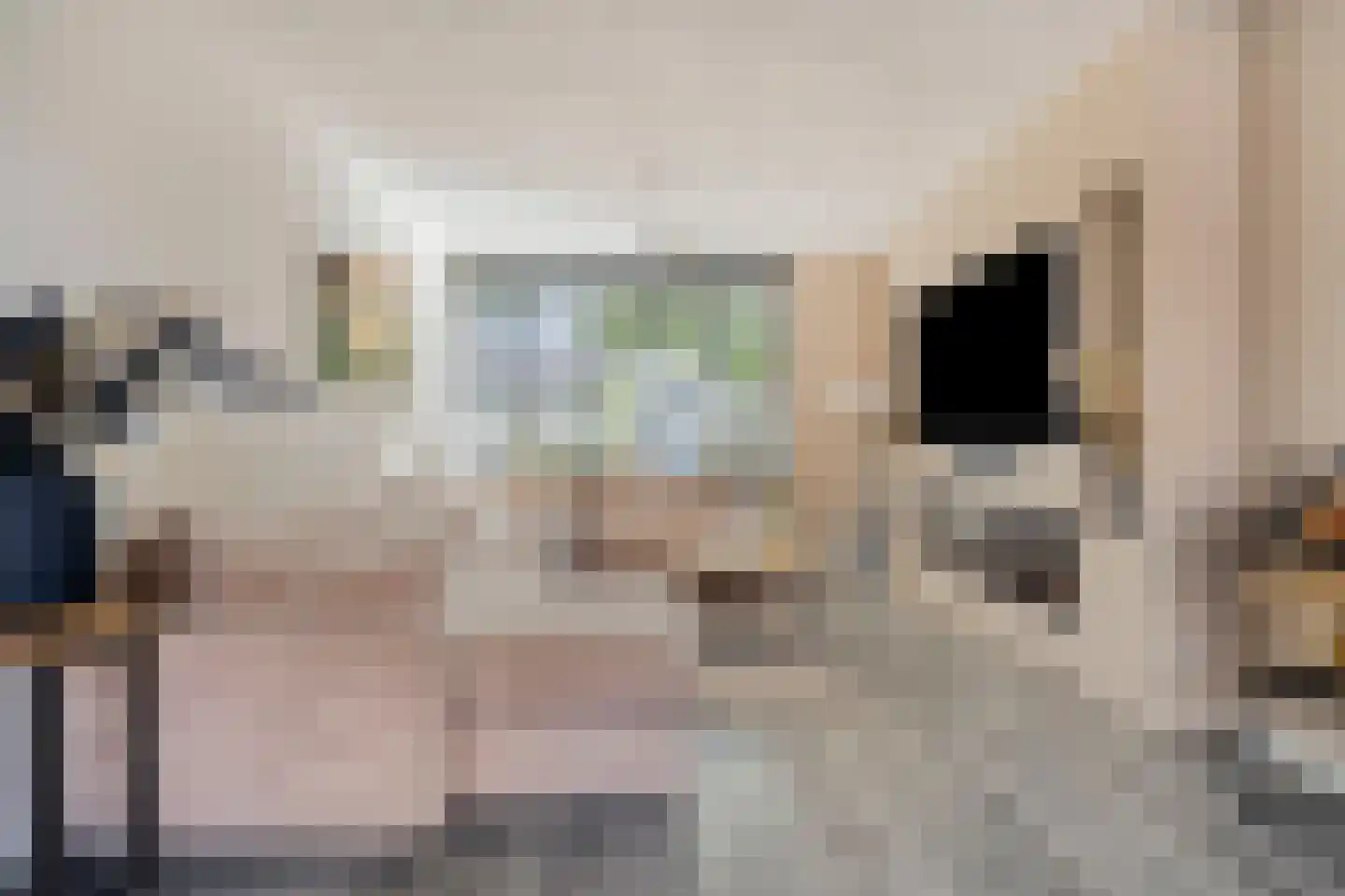 Poelakkers 11 Peize thumbnail 9