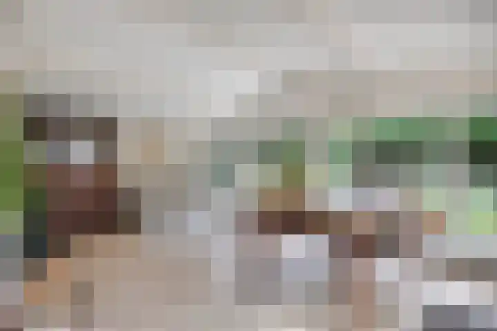 Poelakkerweg 4 Lunteren thumbnail 10