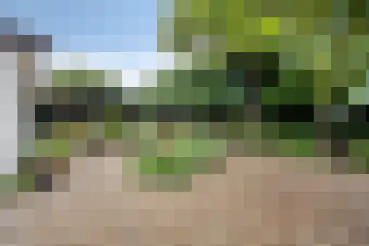 Poelakkerweg 4 Lunteren thumbnail 34