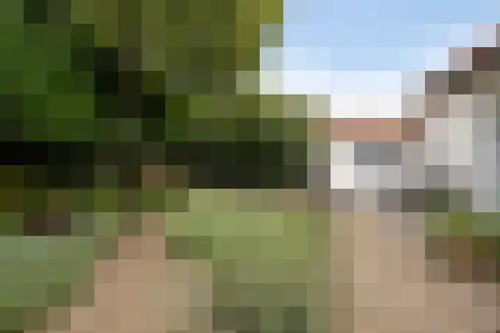 Poelakkerweg 4 Lunteren thumbnail 35